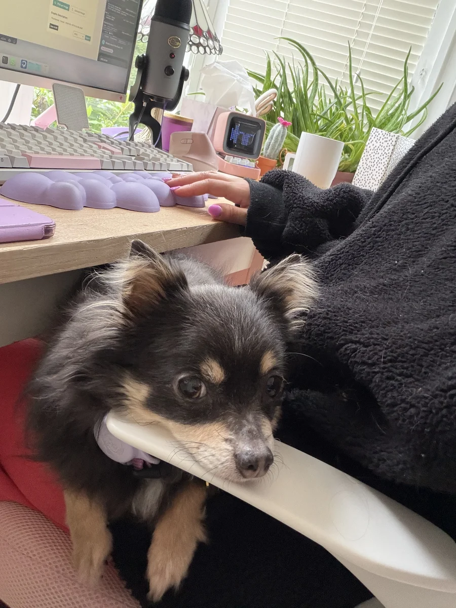 description of photo